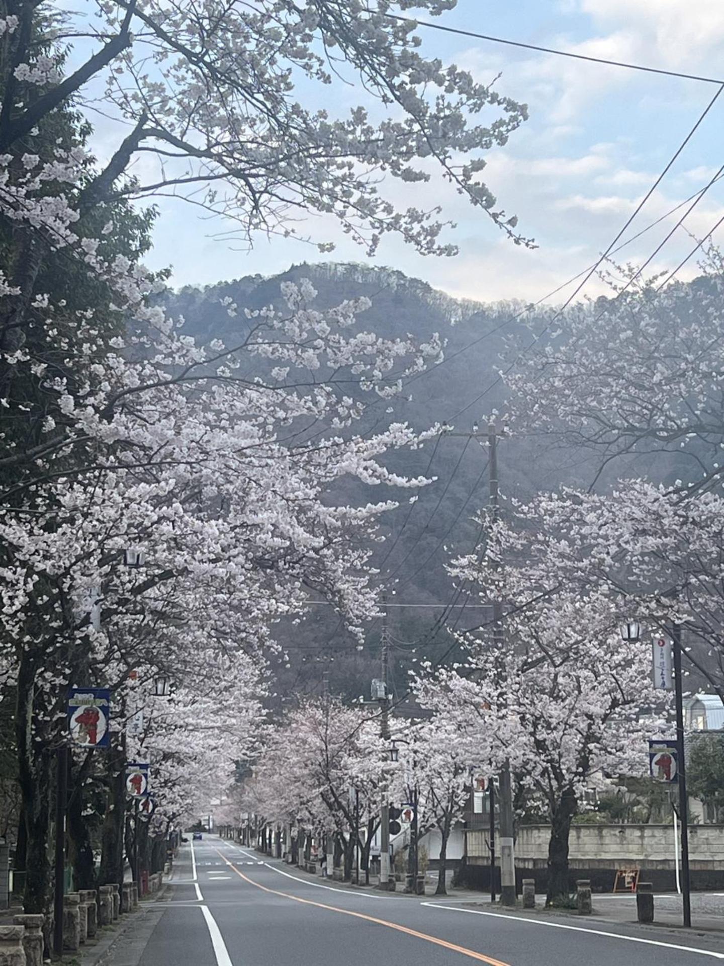 Hotel Kinugawa Keisui Nikko Zewnętrze zdjęcie