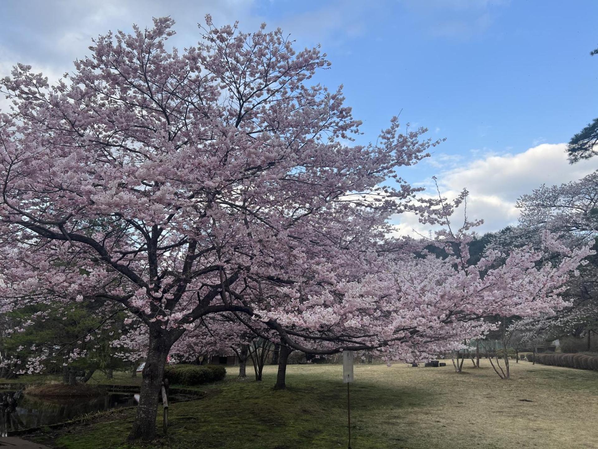 Hotel Kinugawa Keisui Nikko Zewnętrze zdjęcie