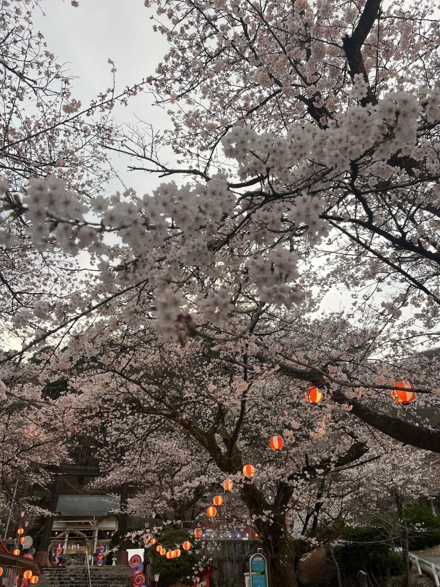 Hotel Kinugawa Keisui Nikko Zewnętrze zdjęcie